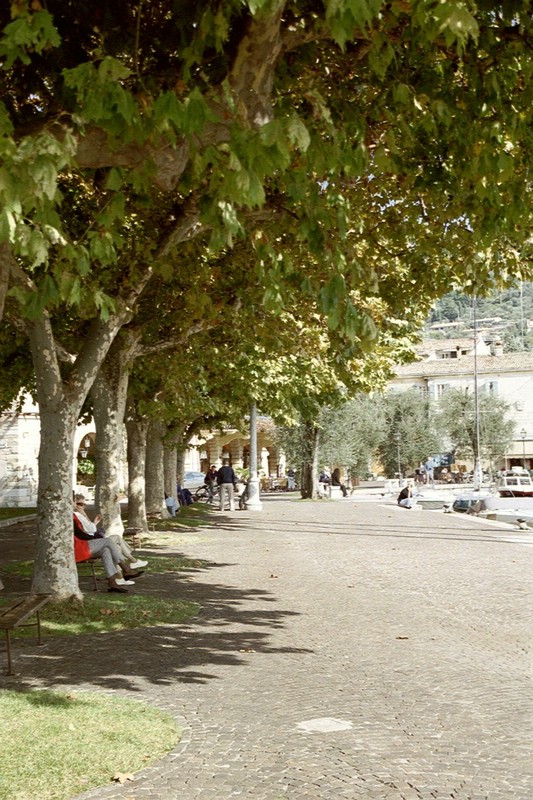 gs2034.JPG