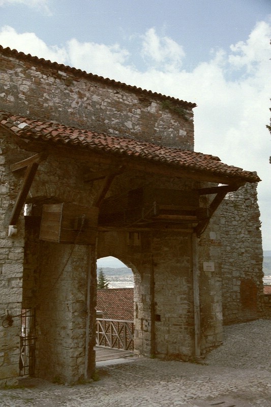 gs3033.JPG