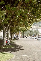 gs2034.JPG