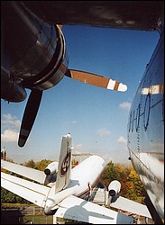 a_03.jpg