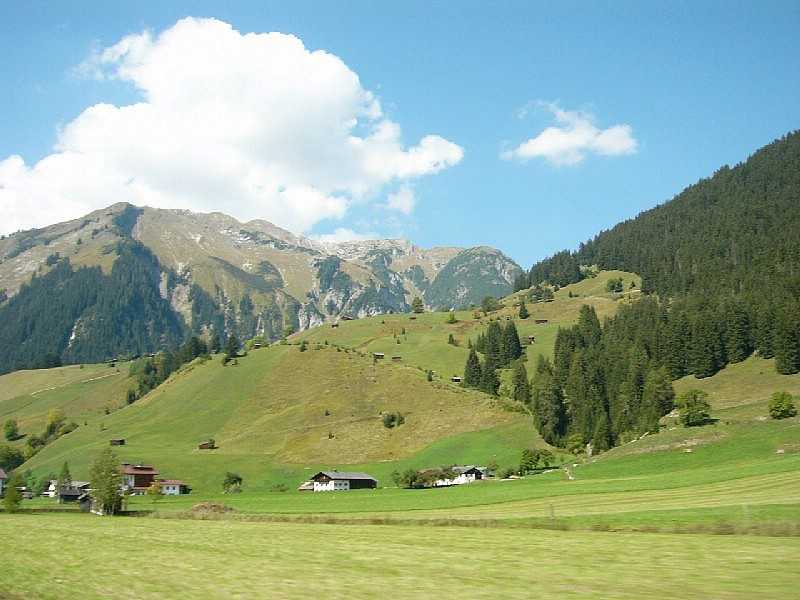P1000141.JPG