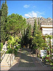 IMG_1044.jpg
