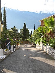 IMG_1045.jpg