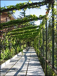 IMG_1099.jpg