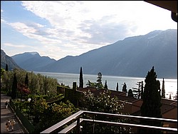IMG_1256.jpg