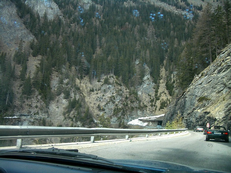 IMGP0233.jpg