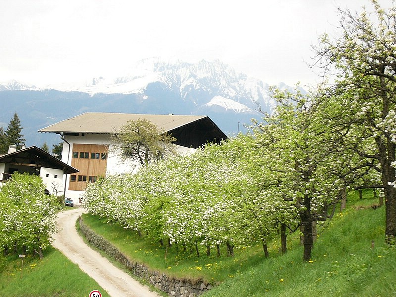 P1020110.jpg