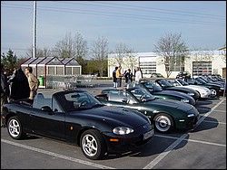 DSC01726.jpg