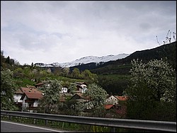 IMG_1156.jpg