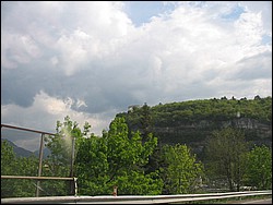 IMG_1168.jpg