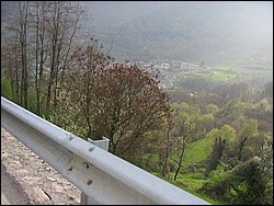 IMG_1170.jpg