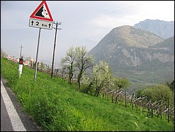 IMG_1171.jpg
