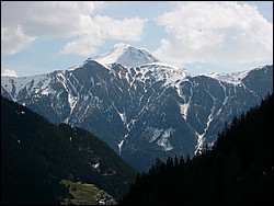 P1020100.jpg