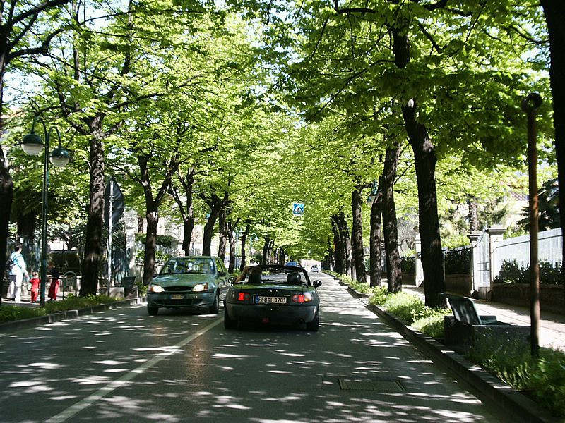 25-PICT0028.jpg