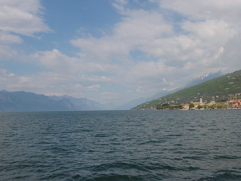 IMG_1460.jpg
