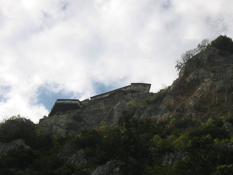 IMG_1489.jpg