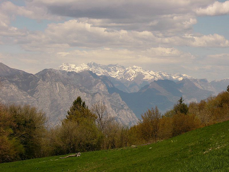 P1020192.jpg