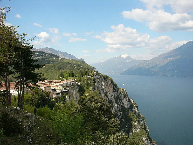 P1020210.jpg