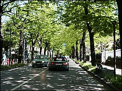 25-PICT0028.jpg