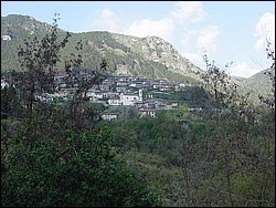DSC02047.jpg