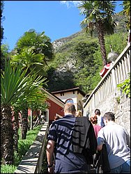 IMG_1134.jpg