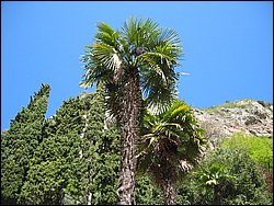 IMG_1136.jpg