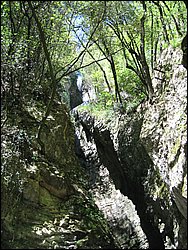 IMG_1138.jpg
