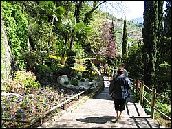 IMG_1147.jpg