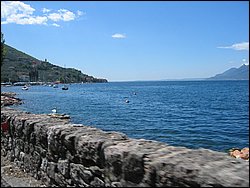 IMG_1166 [1].jpg