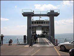 IMG_1453.jpg
