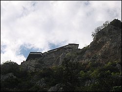 IMG_1489.jpg