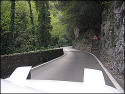 IMG_1492.jpg