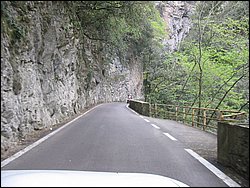 IMG_1493.jpg