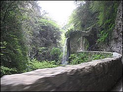 IMG_1494.jpg