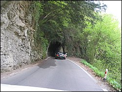IMG_1503.jpg