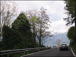 IMG_1505.jpg