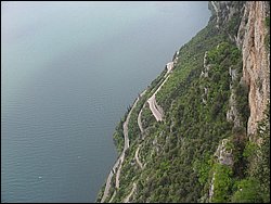 IMG_1517.jpg