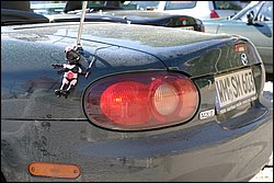 IMG_1937.jpg