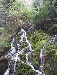 PICT0240.jpg