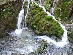 PICT0256.JPG