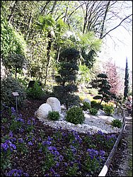 PICT0259.jpg