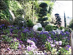 PICT0260.jpg