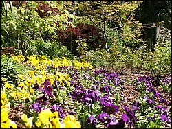 PICT0274.JPG