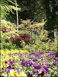 PICT0275.jpg