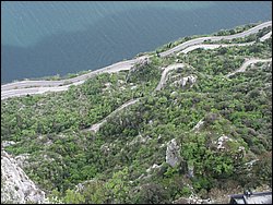 PICT0341.JPG