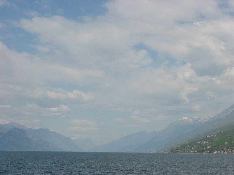 IMG_0491.jpg