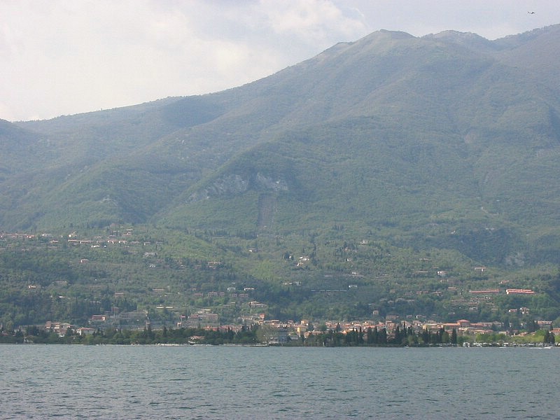 IMG_0495.jpg