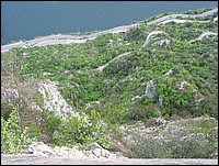 IMG_0501.jpg