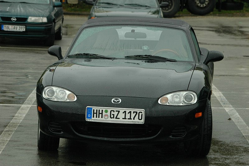 DSC_0008.JPG