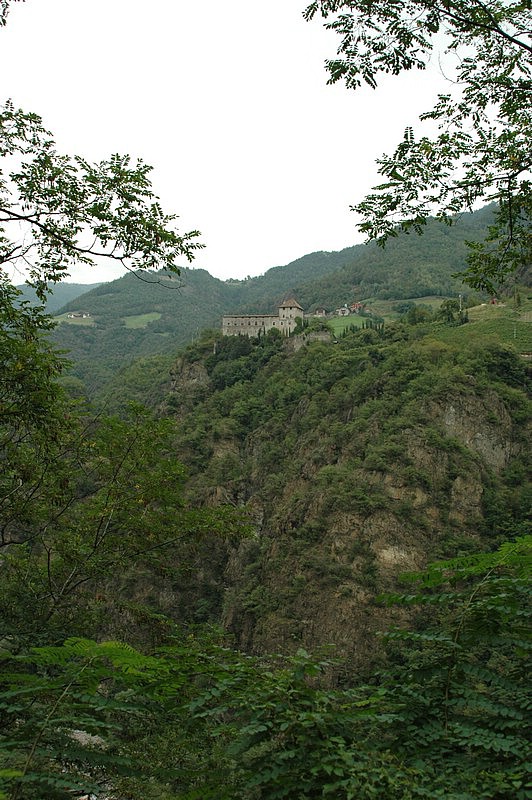 DSC_0023.jpg